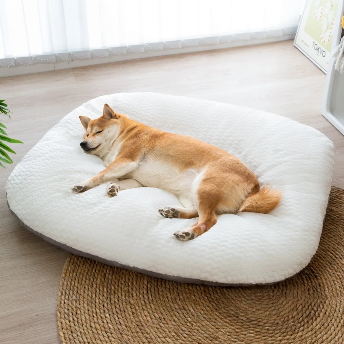 Large Dog Warm Sofa Bed