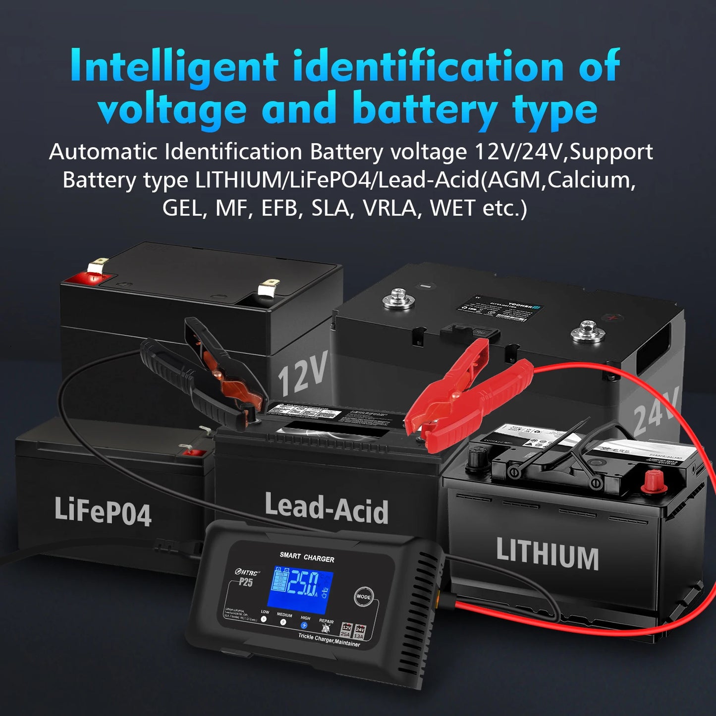 25A LiFePO4 Car Battery Charger