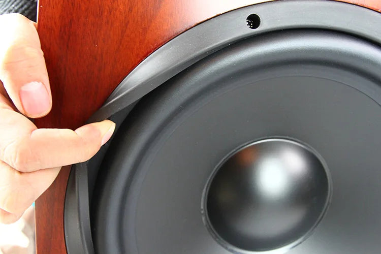 12 Inch 200W HiFi Speaker