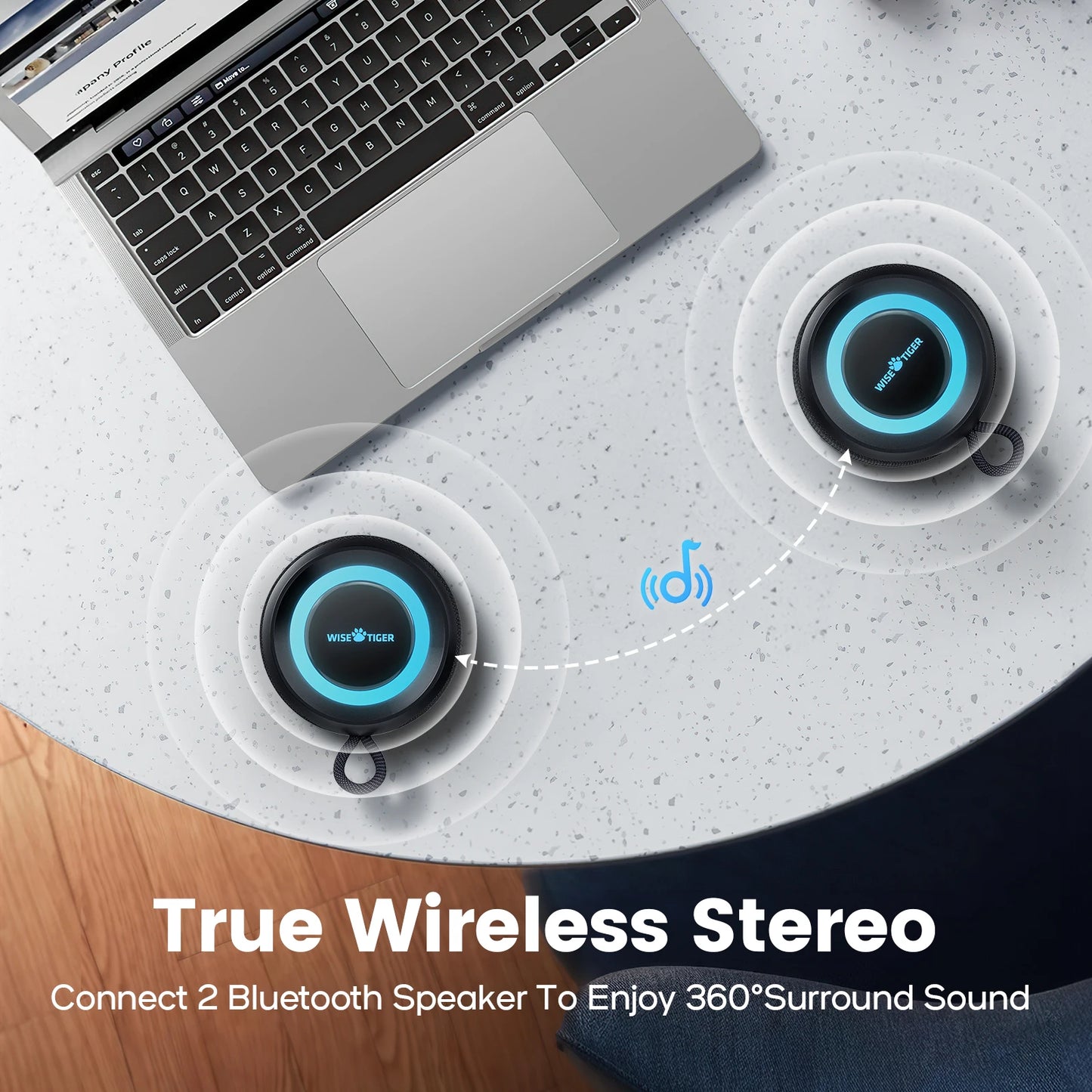 P1S IPX7 Waterproof Speaker