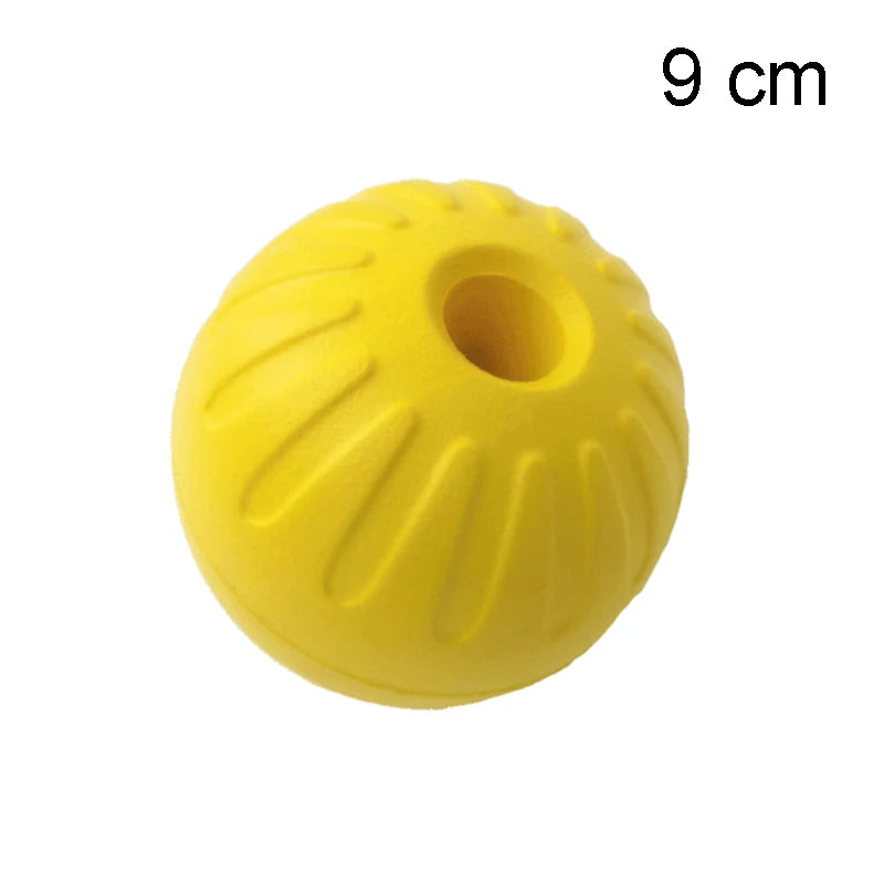 43444839547011