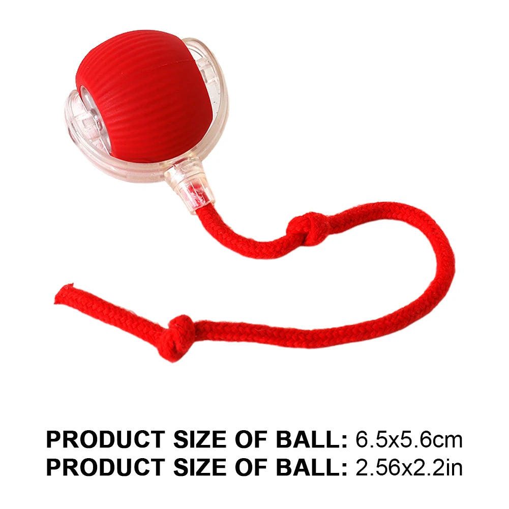 Caterpillar Teasing Cat Toy