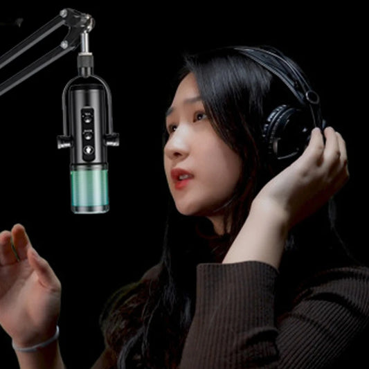 Professional Studio Condenser Microphone