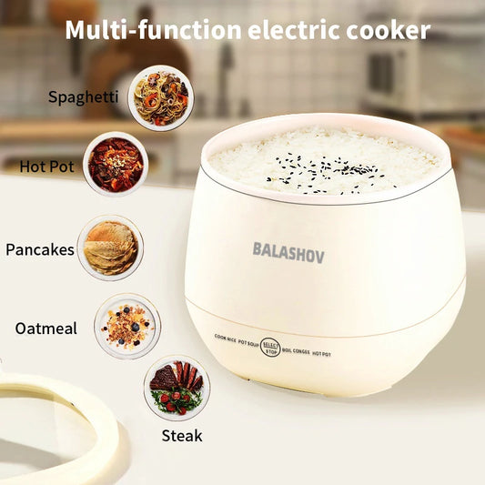 Mini Multi-function Smart Rice Cooker