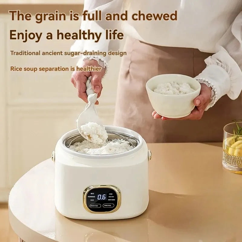 A Household Rice Cooker
