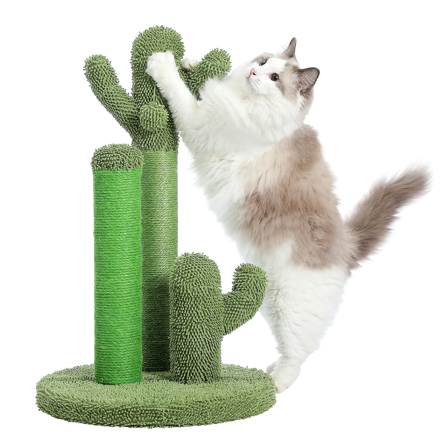 Cactus Cat Scratcher