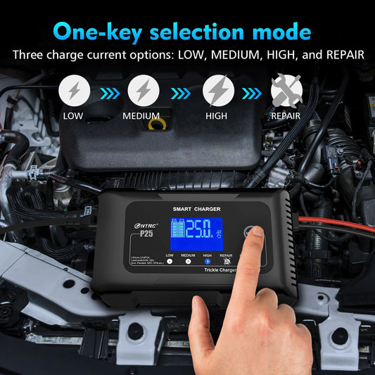 25A LiFePO4 Car Battery Charger