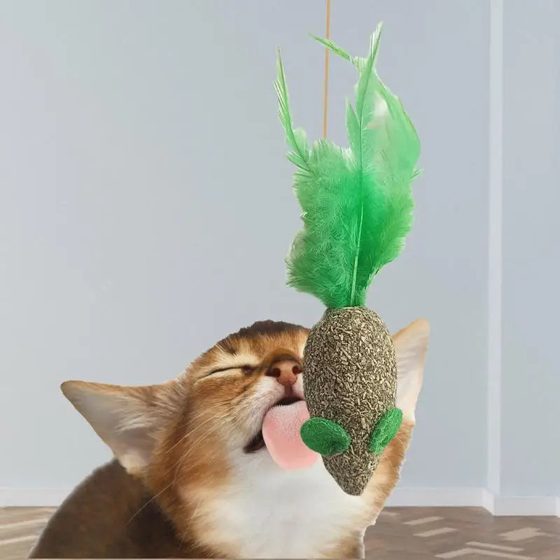 Assortments Cats Molar Catnip Toys