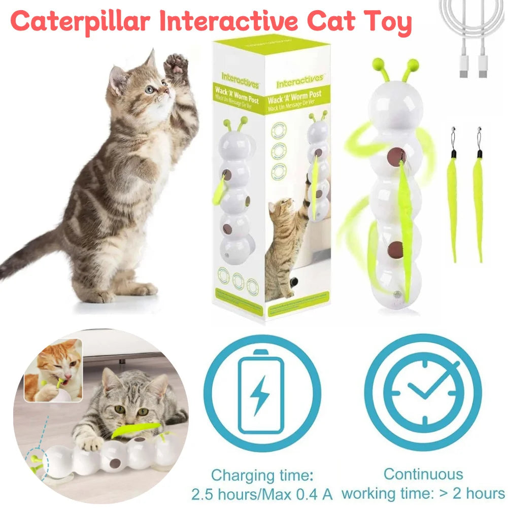Caterpillar Teasing Cat Toy