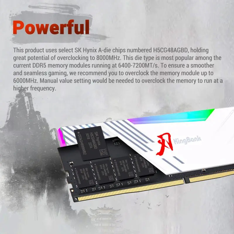 DDR5 RGB Memory
