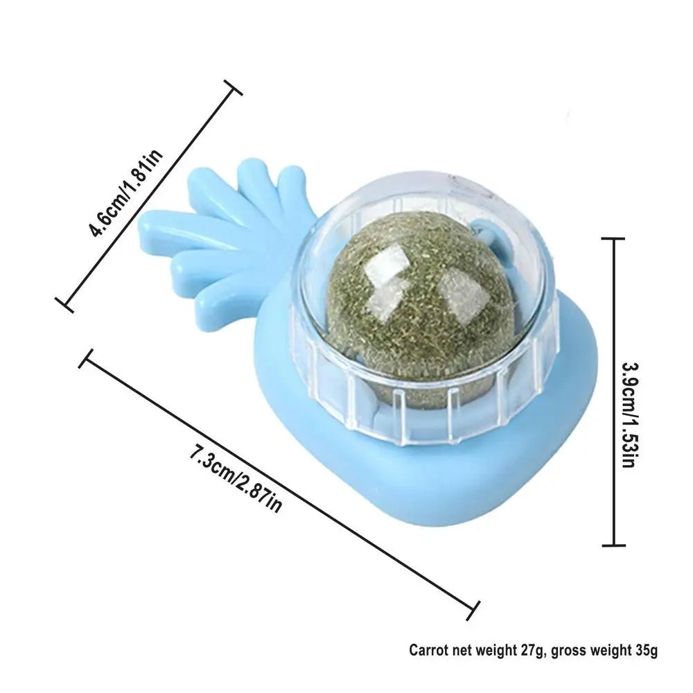 Catnip Wall Ball Toys