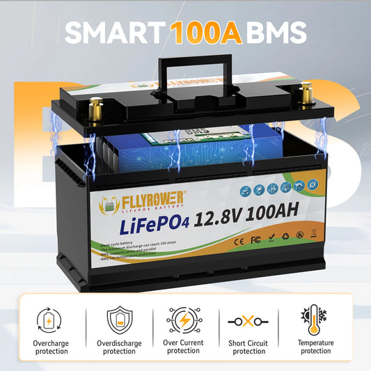 12V 100Ah LiFePo4 Battery Pack