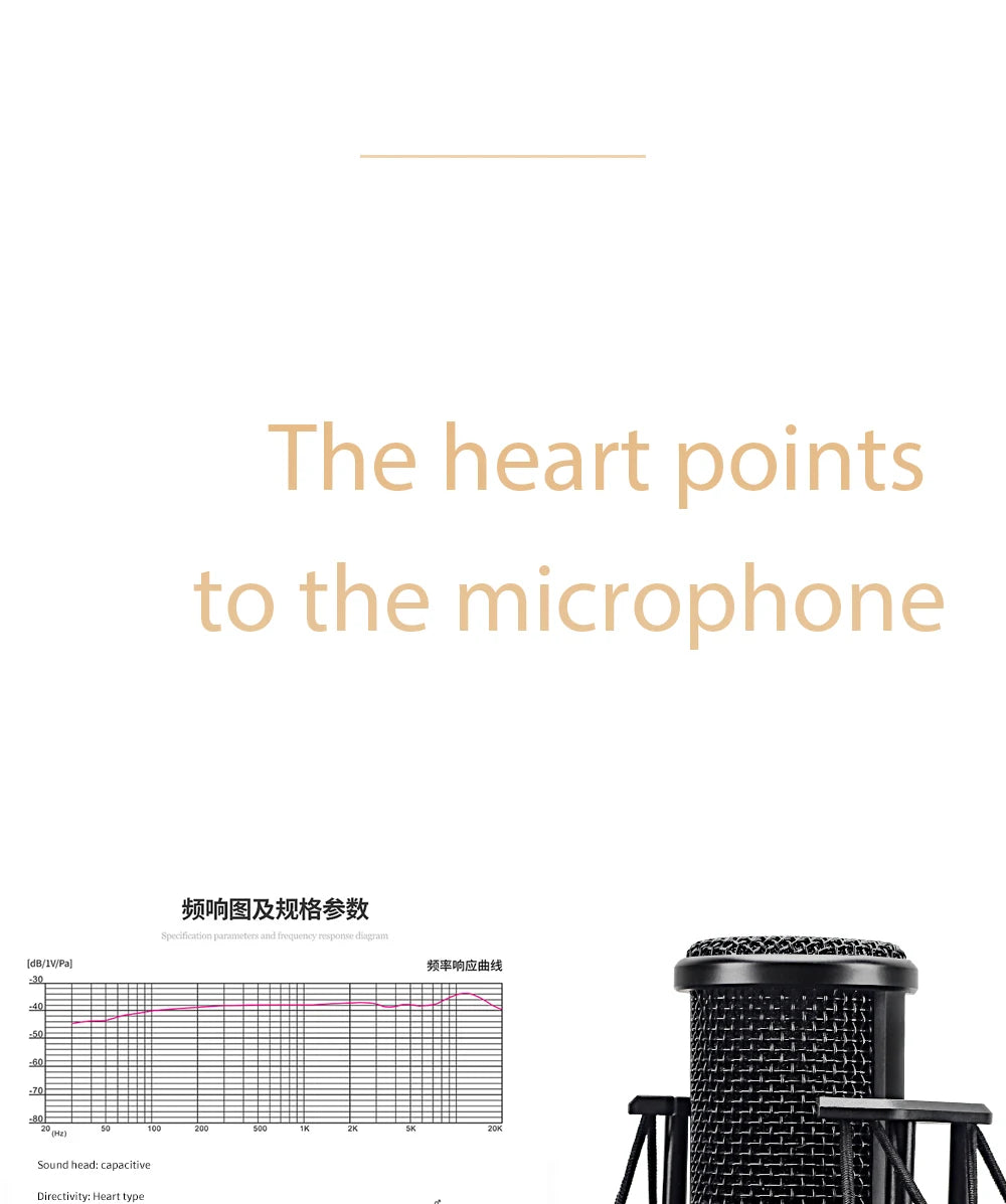 S-300 Condenser Professional Microphone