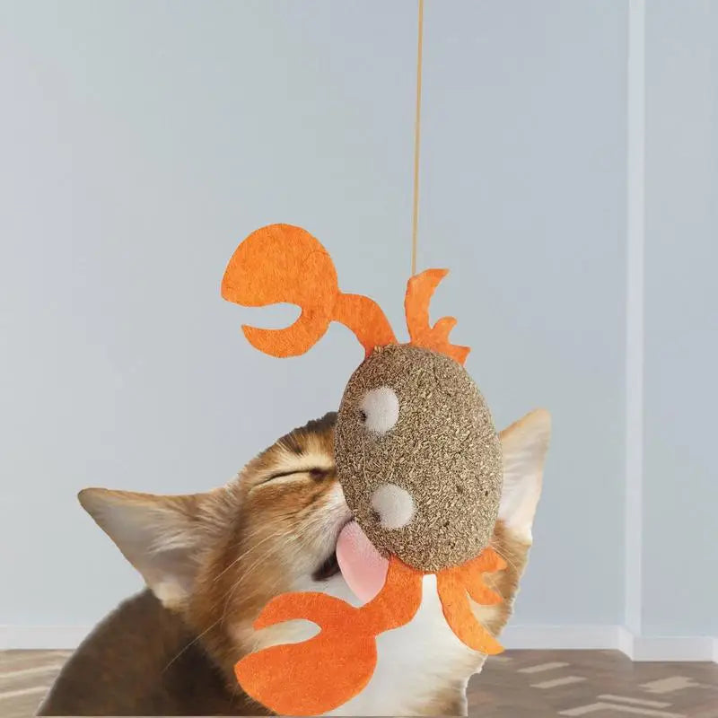 Assortments Cats Molar Catnip Toys