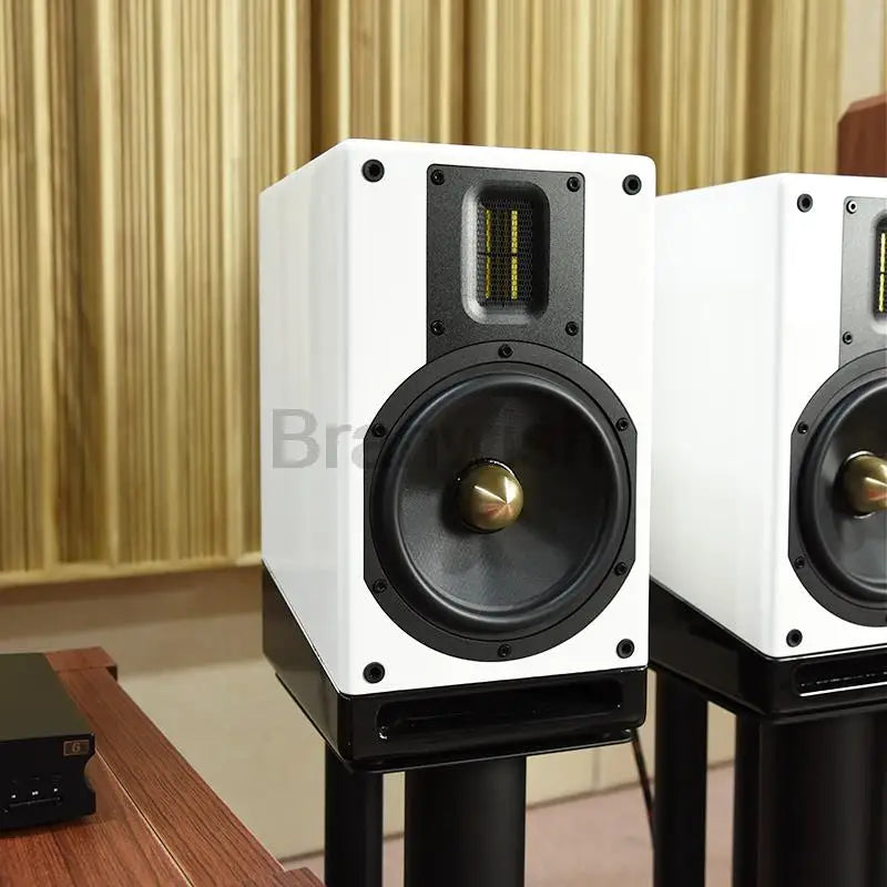 100W High-Power Audio Two-Way Bookshelf Speaker