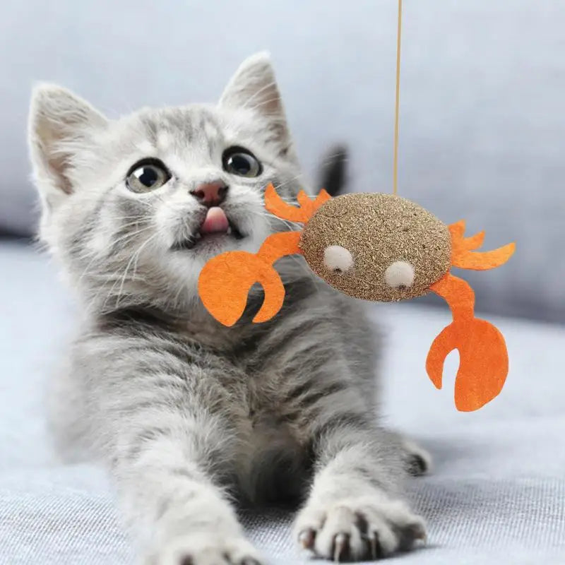 Assortments Cats Molar Catnip Toys