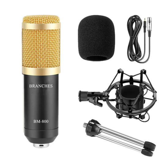 BM800  Professional Condenser Microphone
