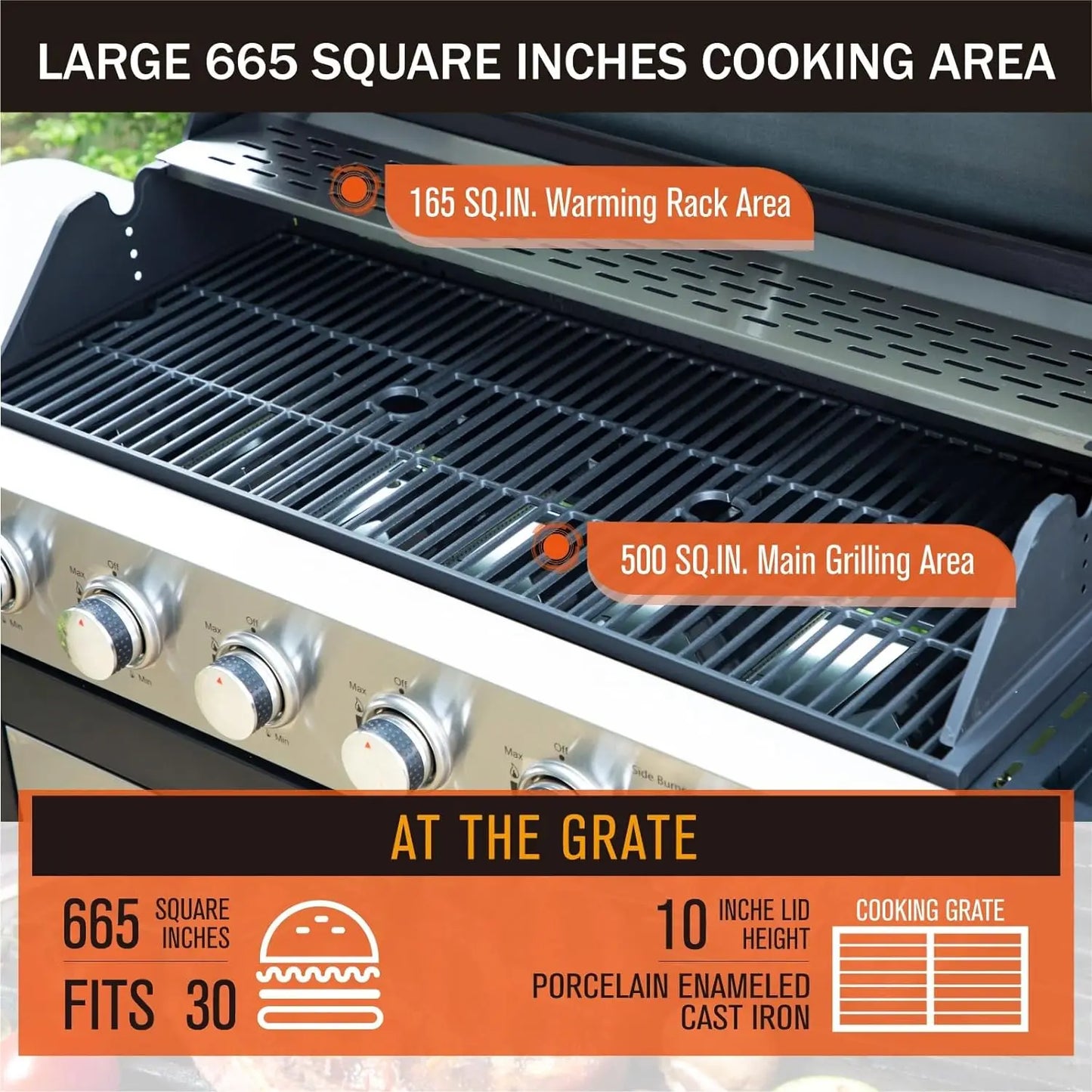 6-Burner Propane Gas BBQ Grill