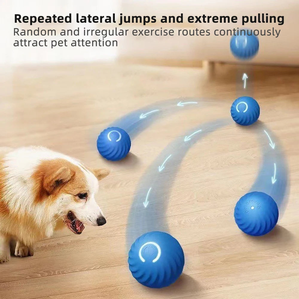 Dog Electronic Interactive Moving Ball Toy
