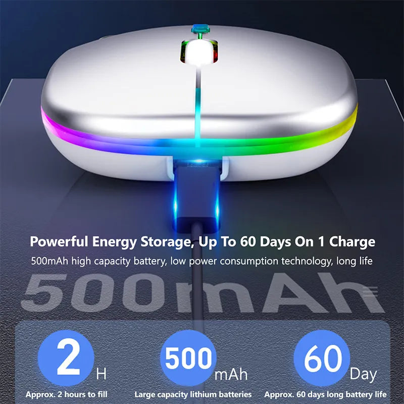 LED Backlit Ergonomic Wireless Mouse