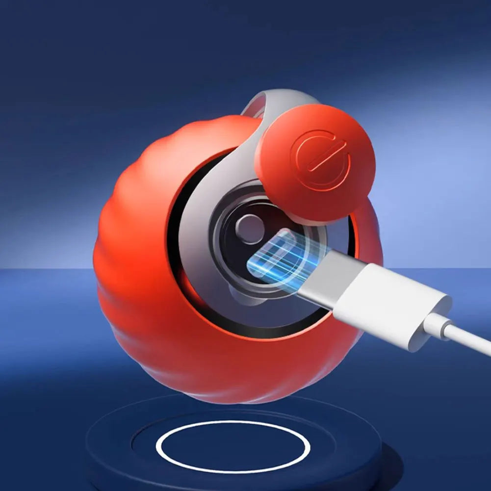 Automatic Moving Cat Toy