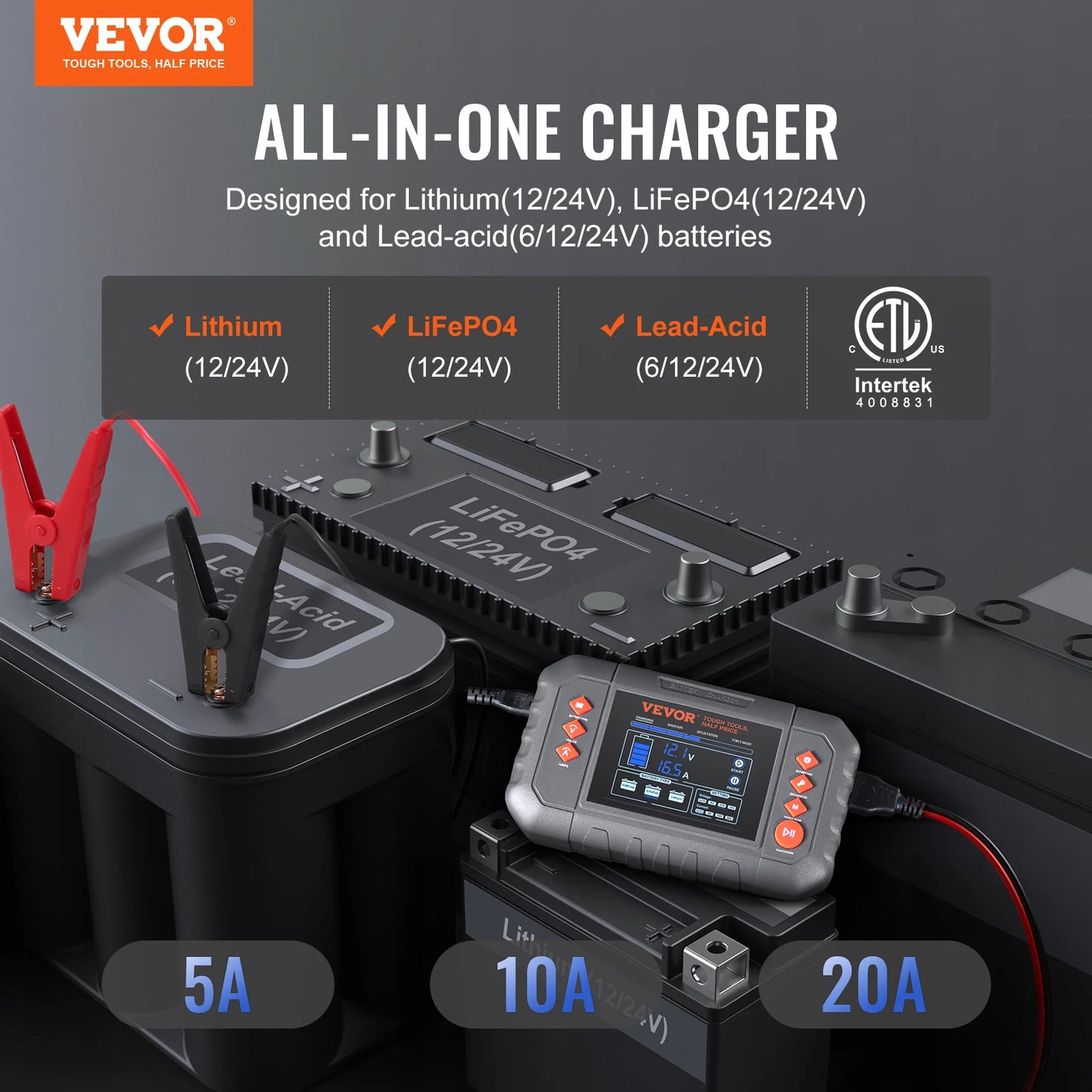 LiFePO4 Smart Battery Charger