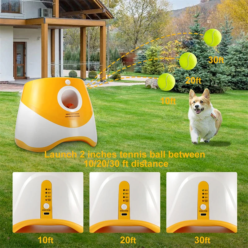 Dog Automatic Tennis Launcher