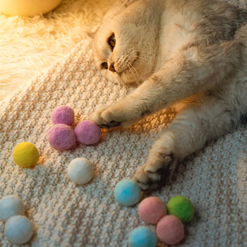 Interactive Launch Cat Training Toys