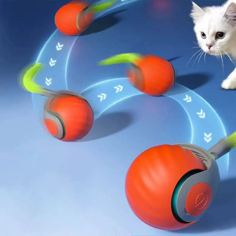 Automatic Moving Cat Toy