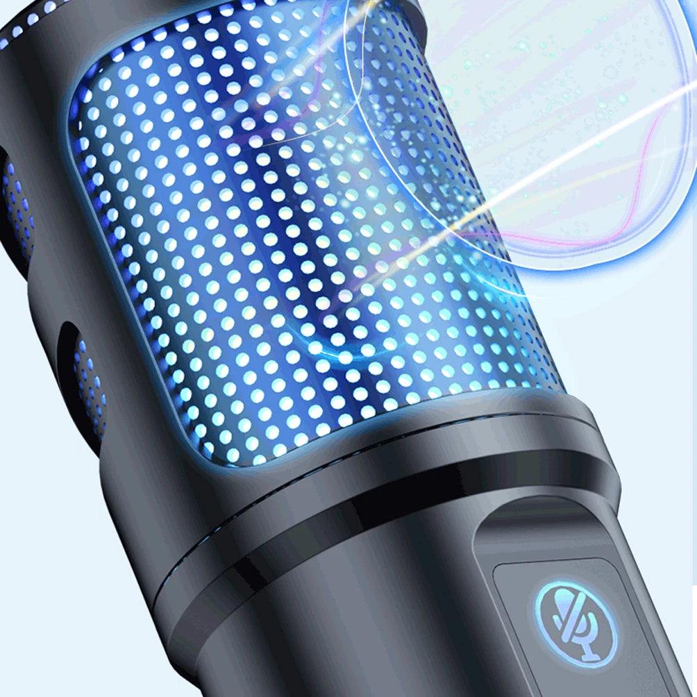 Professional Studio Condenser Microphone