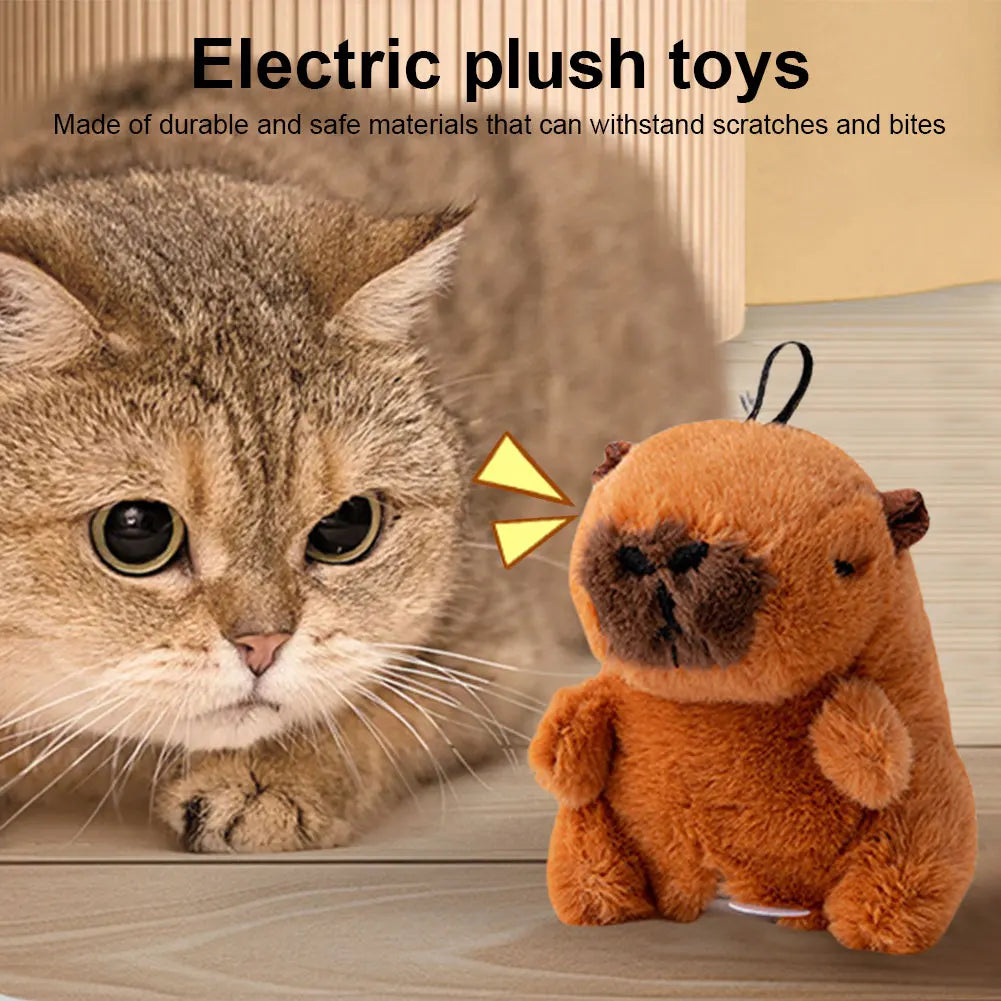 Flying Bird Cat Toy