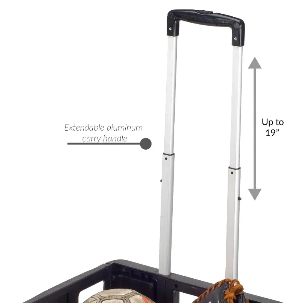 Portable Shopping Cart