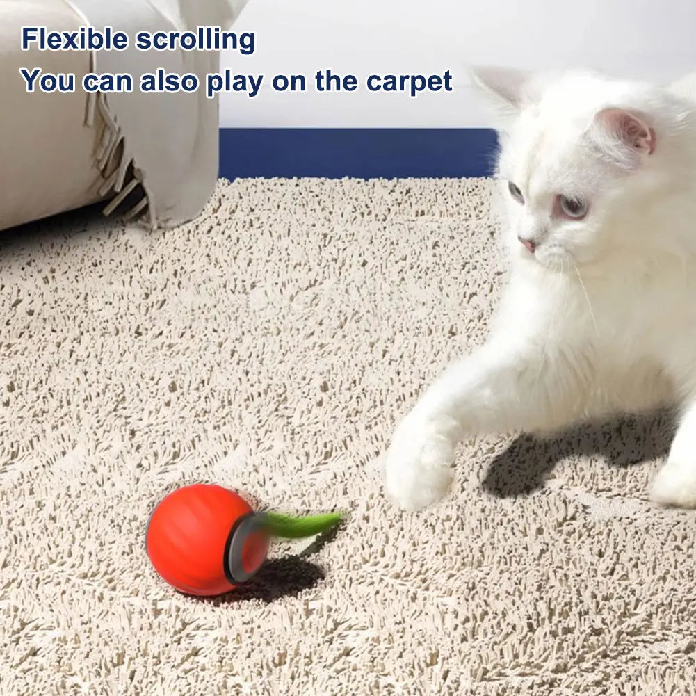 Smart Electronic Interactive Toy
