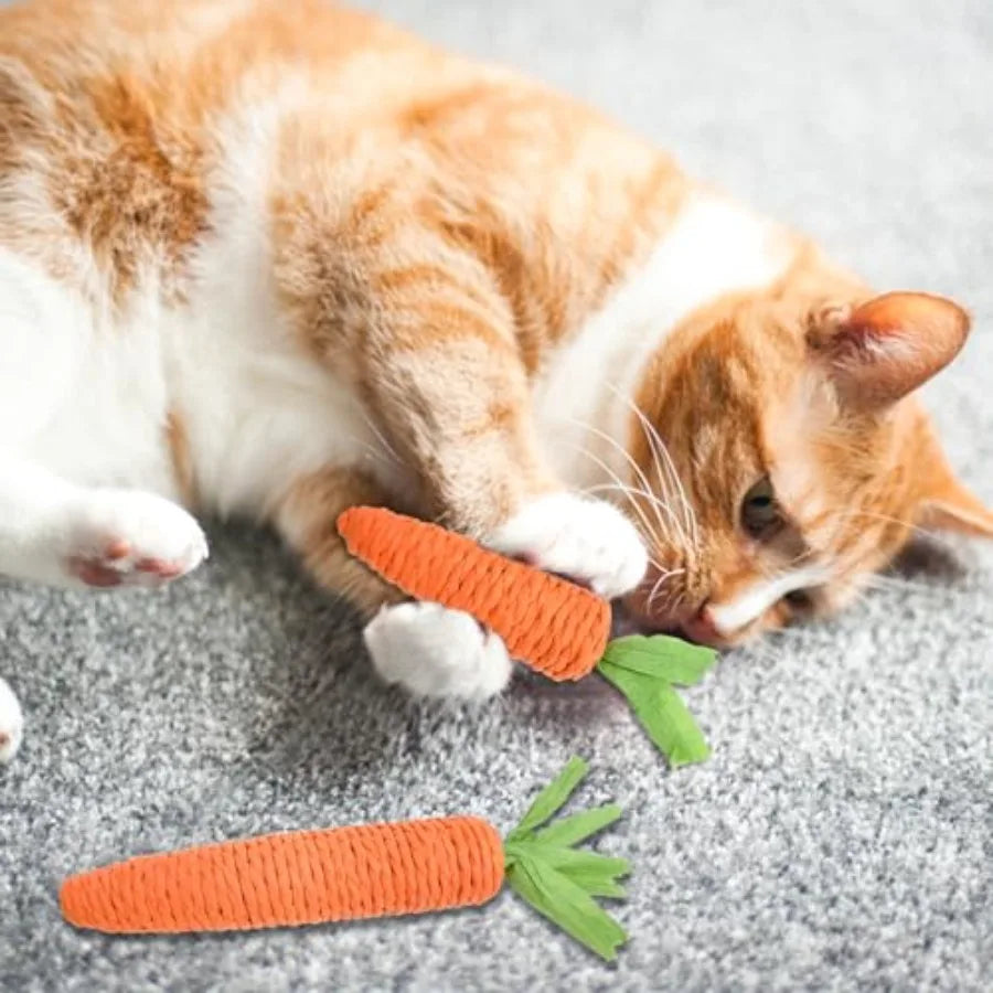 2PCS Cat Chew Toys