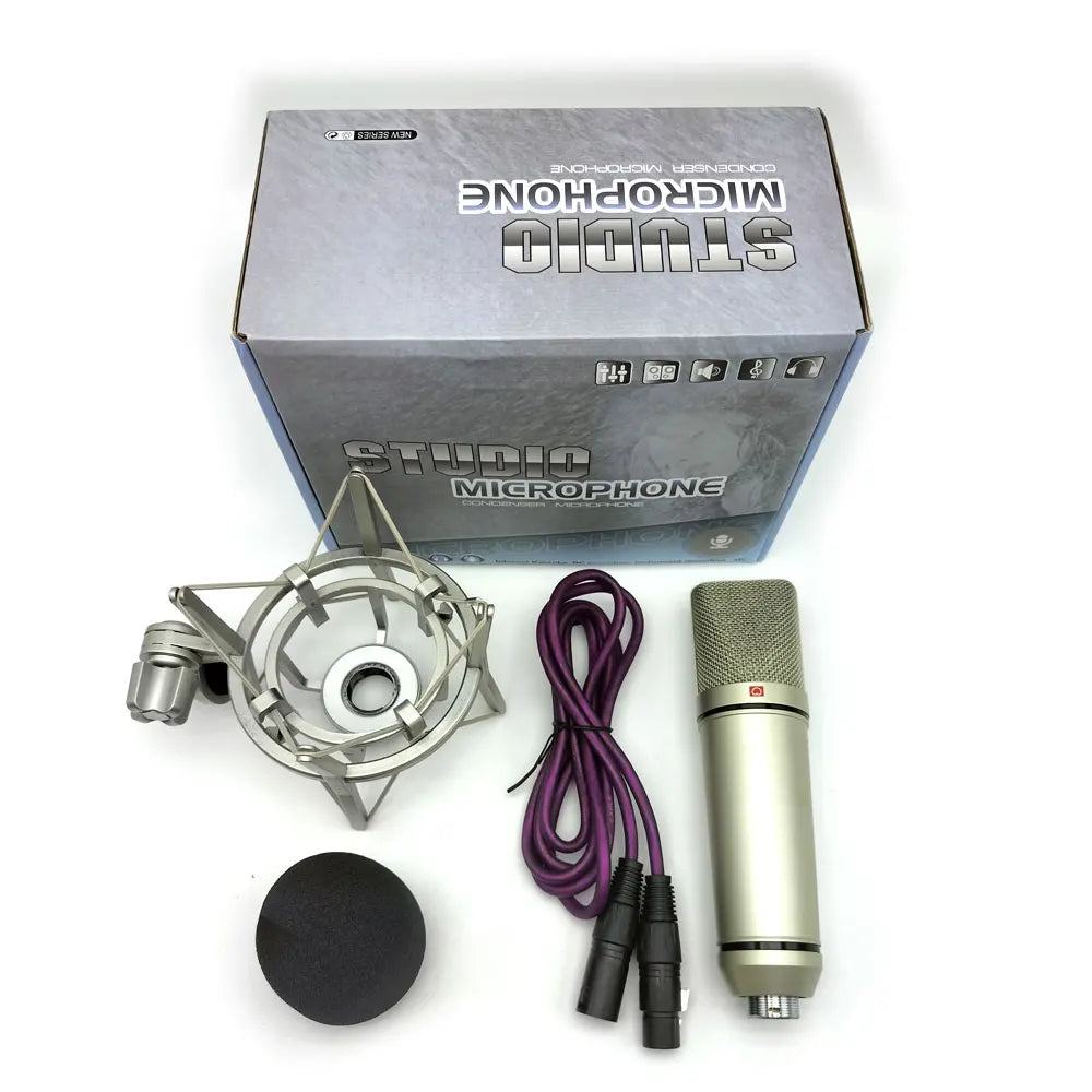 Professional Condenser Microphone Mic
