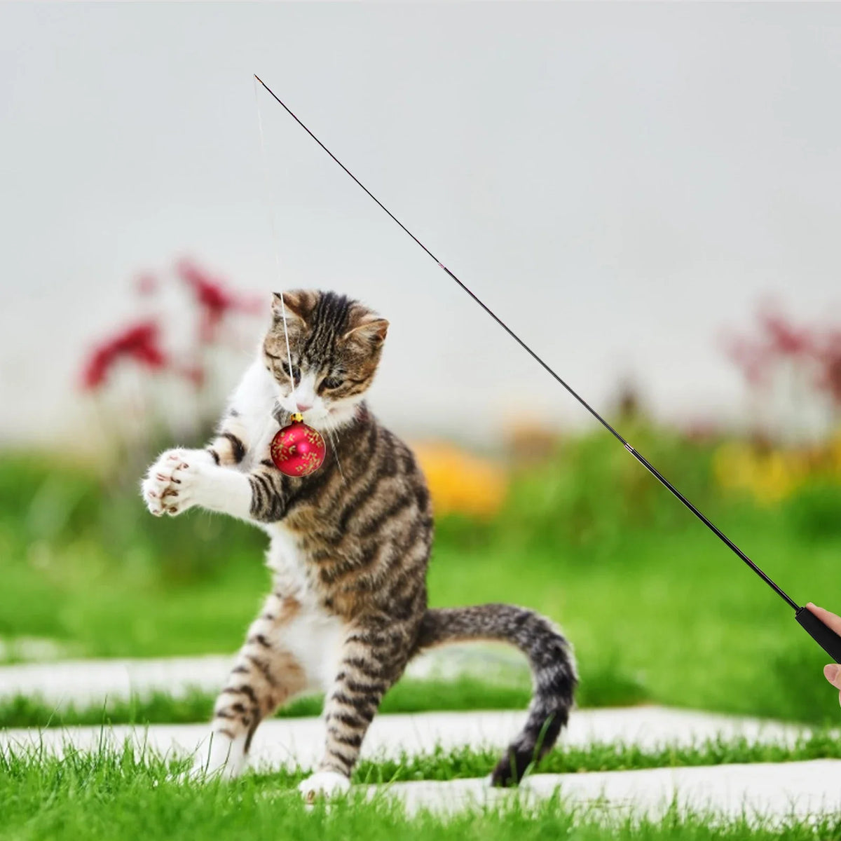 Cat Teaser Wands Three-section Telescopic Fishing Pole Toys