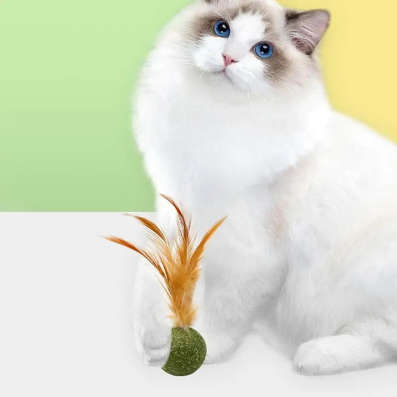 Cat Catnip Catnip Feather Ball Toys