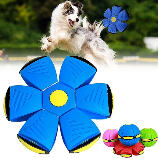 Dog Futurism Saucer Ball Toys