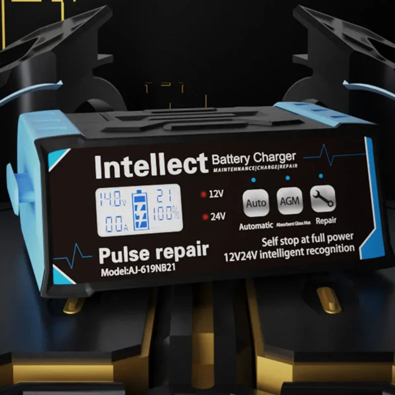 210W 12V-24V High Power Battery Charger