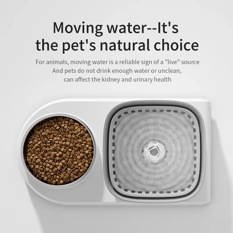 2in1 Cat Automatic Water Fountain