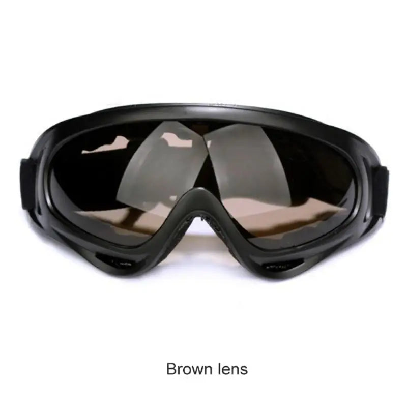 Ski Snowboard Goggles