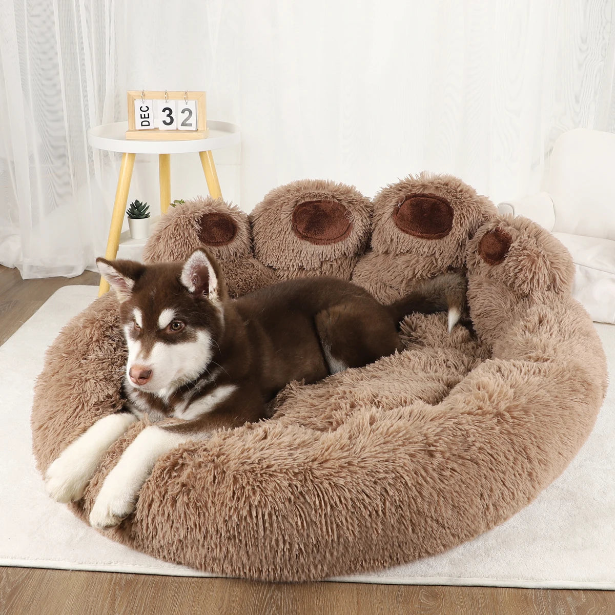 Dog Washable Plush Sofa Beds