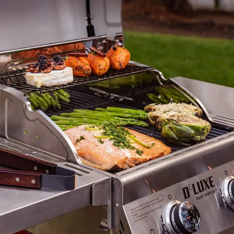 2-Burner Propane Barbecue Gas Grill with Warming Rack