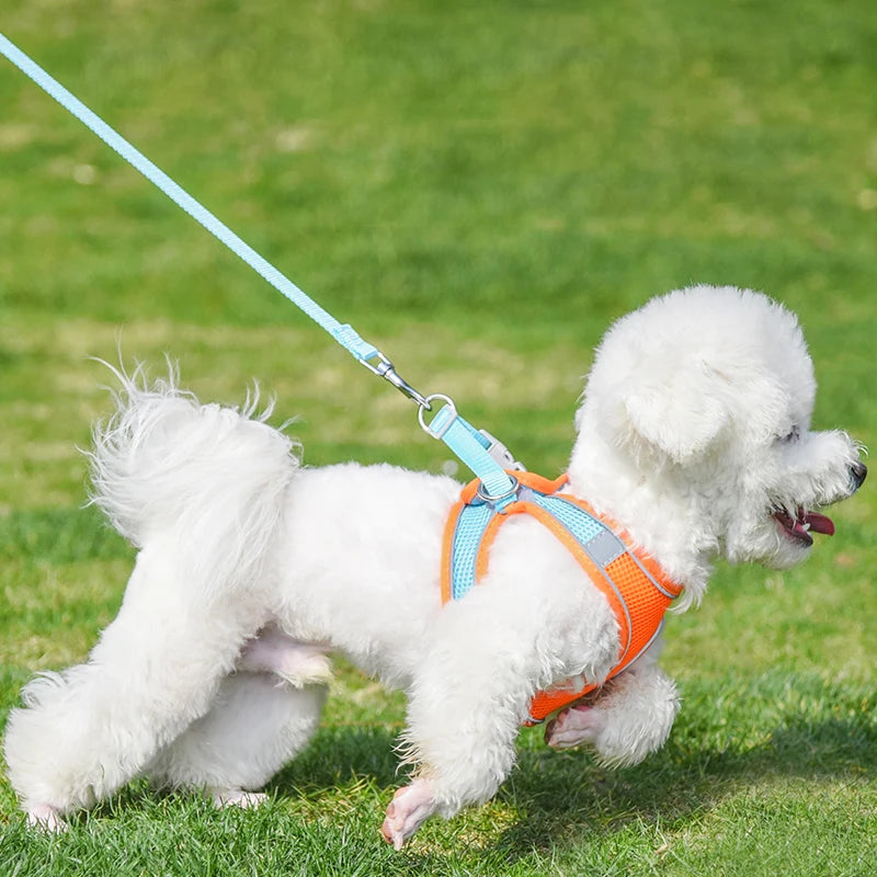 Pets Reflective Harness+Leash Set