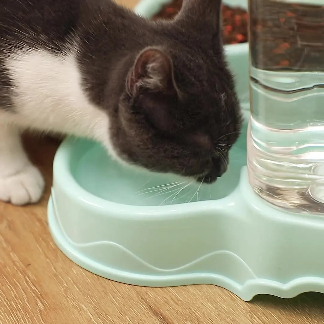 Pet Automatic Drinking Bowl