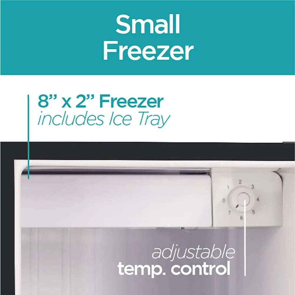 Mini Fridge with Freezer