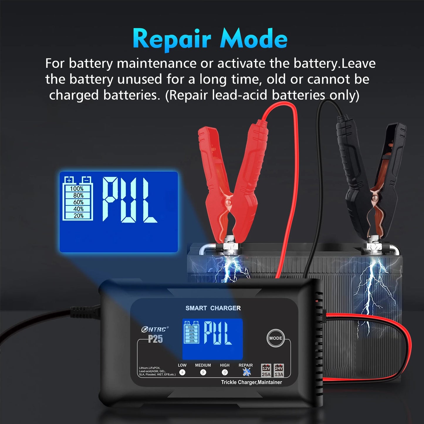 25A LiFePO4 Car Battery Charger