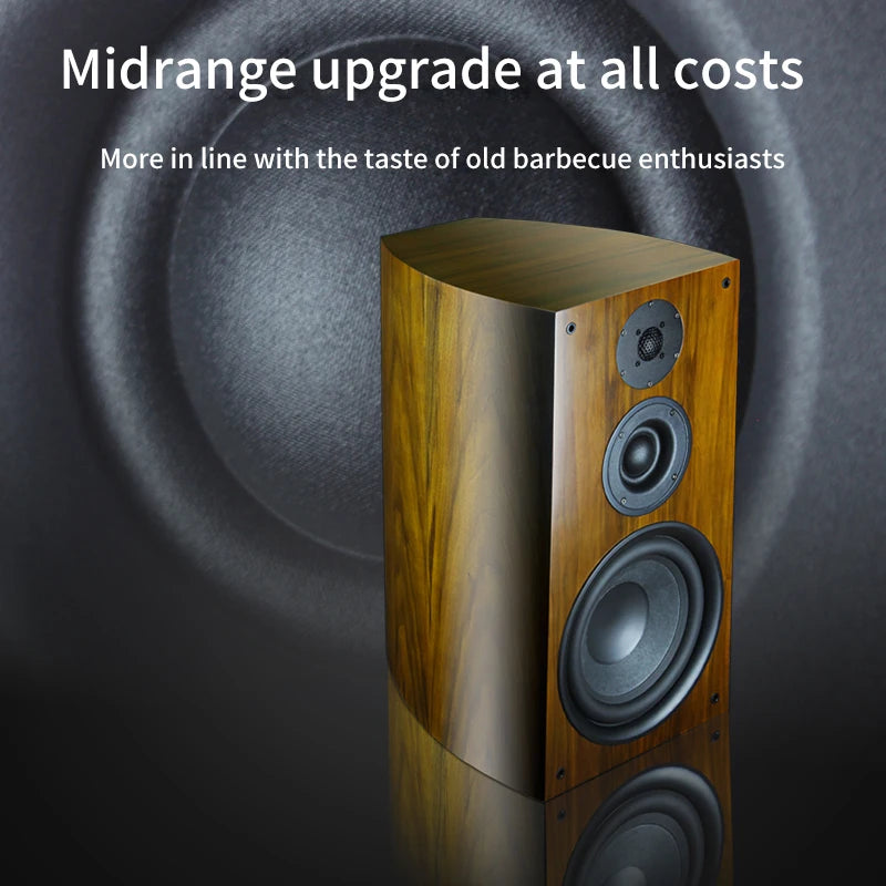 10 Inch 8Ohm High Low Bookshelf Speaker