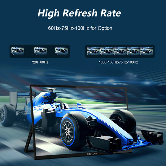 100Hz 18.5" Touch Screen Portable Monitor