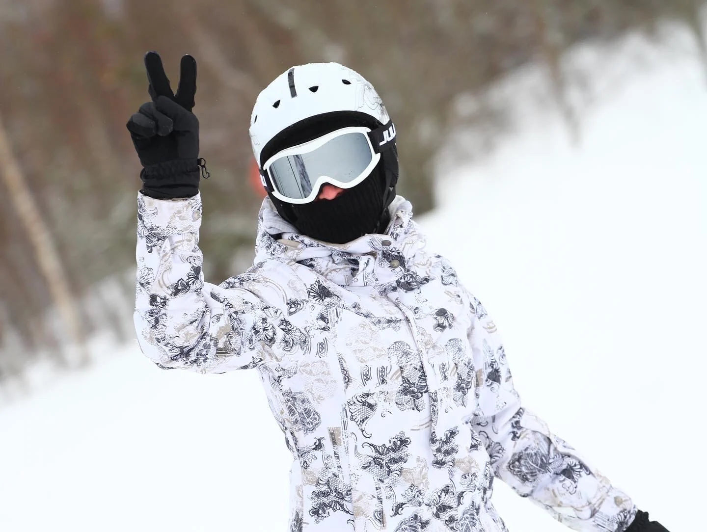 Professional Ski Goggles